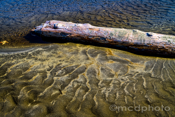 Driftwood with Rivulets