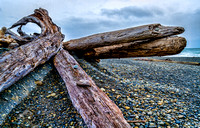 Driftwood with Cairn