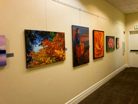Flying Colors - Gallery Wall